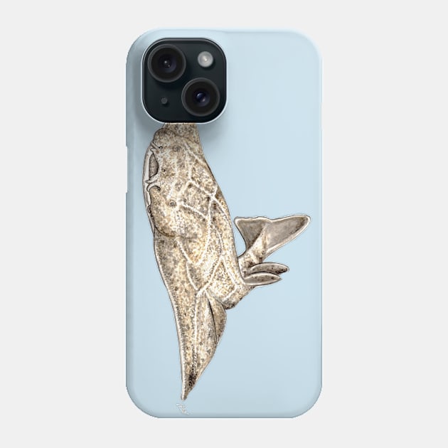 Angel shark Phone Case by chloeyzoard