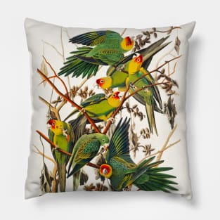 Carolina Parrot from Birds of America (1827) Pillow