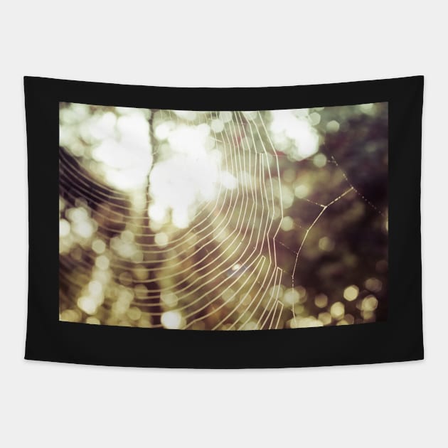 Into the Light Tapestry by newbeltane