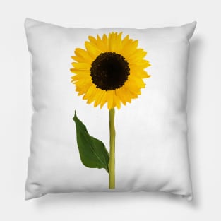 Sunflower Pillow