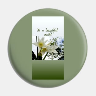 beautiful world with amaryllises in the garden Pin