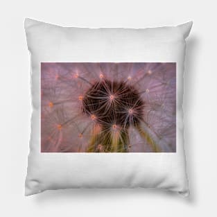 Dandelion 2 Pillow