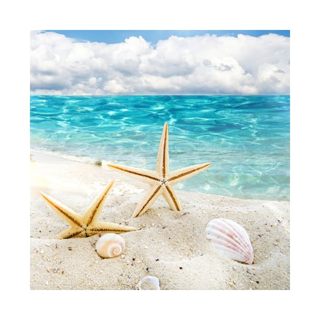 seashell by PREMIUMSHOP