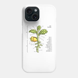 Oak Seedling Diagram Phone Case