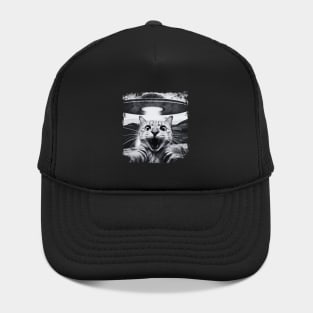 Cat Hat