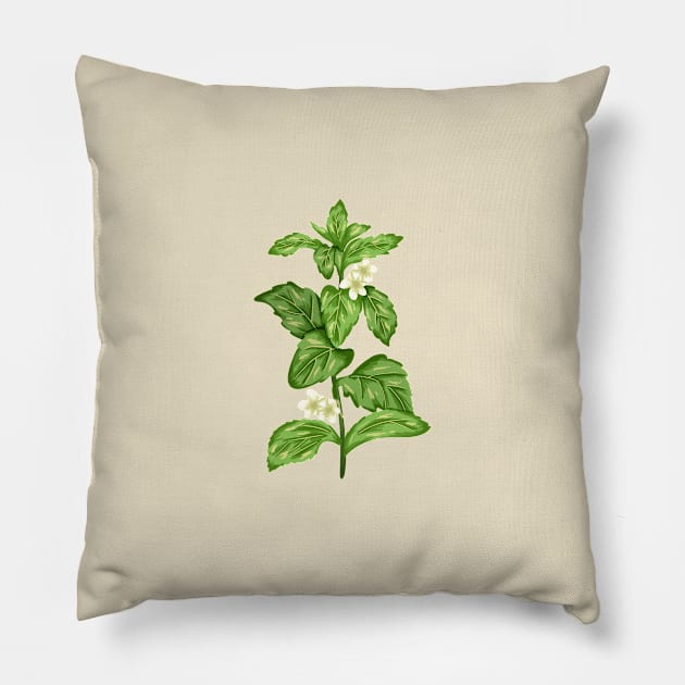 Stevia Plant  Botanical Pillow by Salfiart