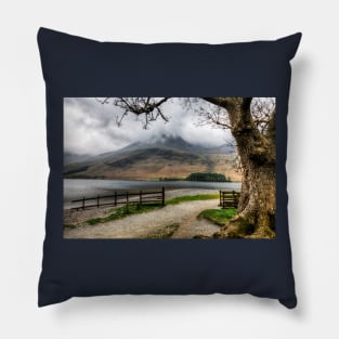 Brothers Water Oak Tree, Cumbrian Lake District Pillow