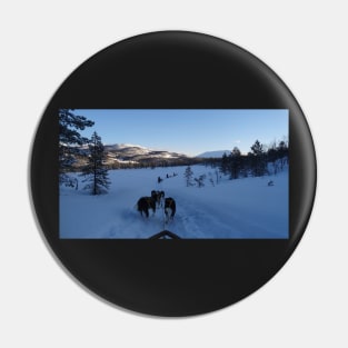 Dog sledging - Huski Adventure Pin