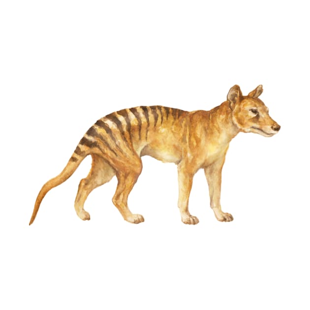 Tasmanian Tiger by P-Jaworska