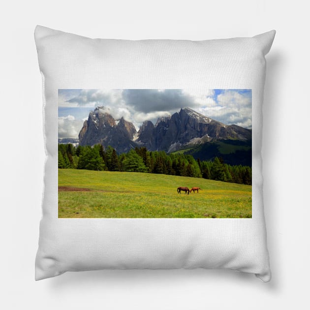 Horses at the Seiser Alm Pillow by annalisa56