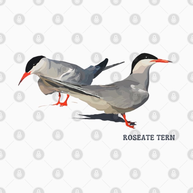 Roseate Tern by Nature's Pulse