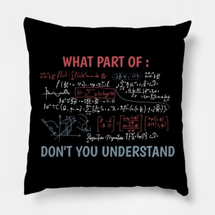 Funny maths quote Pillow