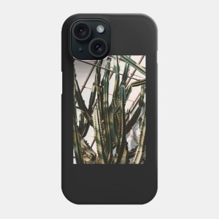 Greenhouse Cactus Phone Case