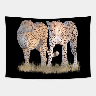 2 Cheetahs - Predator - Cats in Africa Tapestry