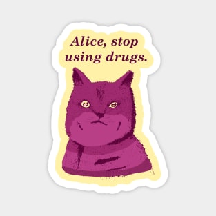 Alice, stop using drugs Magnet