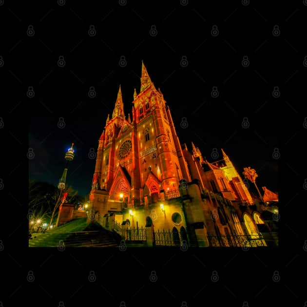 Christmas Time at St Mary's Cathedral, Sydney, NSW, Australia by Upbeat Traveler