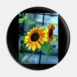 Sunflower Heaven Pin