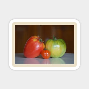 Fruit Vegetable Tomato Beautiful Family Portrait Magnet