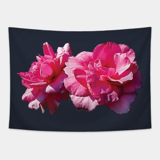 Roses - Two Pink Roses Tapestry