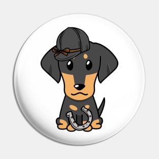 Funny dachshund dog is ready for horse riding Pin