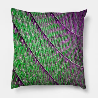 Water Curves Pillow