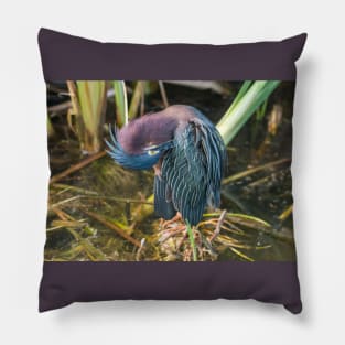 Preening Green Heron Pillow