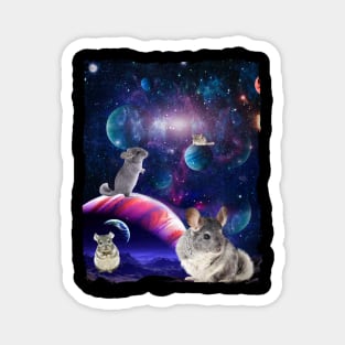 Chinchilla Funny Pogona Galaxy Stars Universe Rodents Magnet