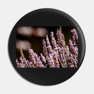 Moody lavender flowers Pin