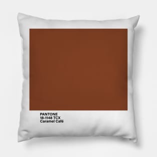 PANTONE 18-1148 TCX Caramel Cafe Pillow