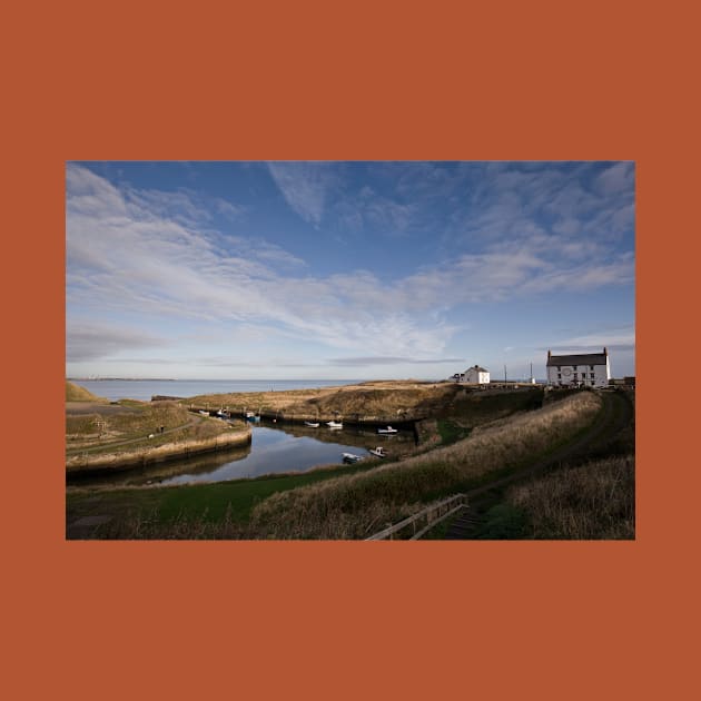 Seaton Sluice Harbour, Northumberland by Violaman