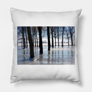 Midwest Bayou Pillow