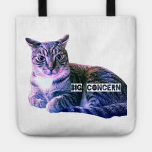 Big Concern Tote