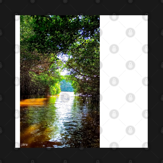 celestun ria wetland ecopark ecopop landscape photo in yucatan eye of the water tunnel by jorge_lebeau