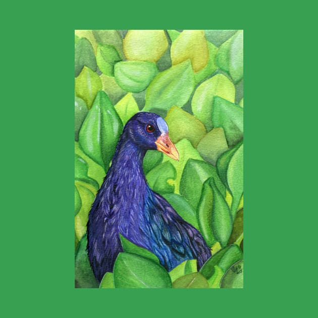 Purple Gallinule by TehNessa