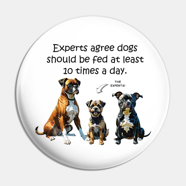 Experts agree dogs should be fed at least 10 times a day - funny watercolour dog design Pin by DawnDesignsWordArt