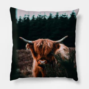 Scottish Highland Cattle Oil Painting Pillow