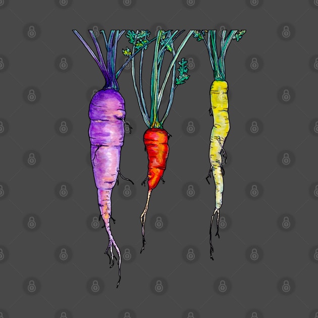 Carrots by ThisIsNotAnImageOfLoss