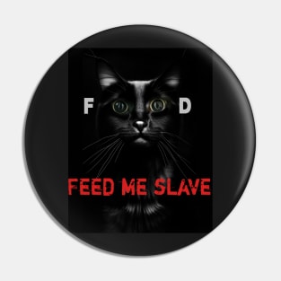 Hungry black maine coon cat  - feed me slave - Pin