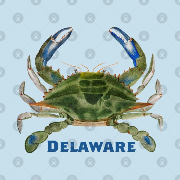 Delaware Crab by novabee