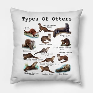 Otters Sea Otter Giant Otter Educational Animal Pillow