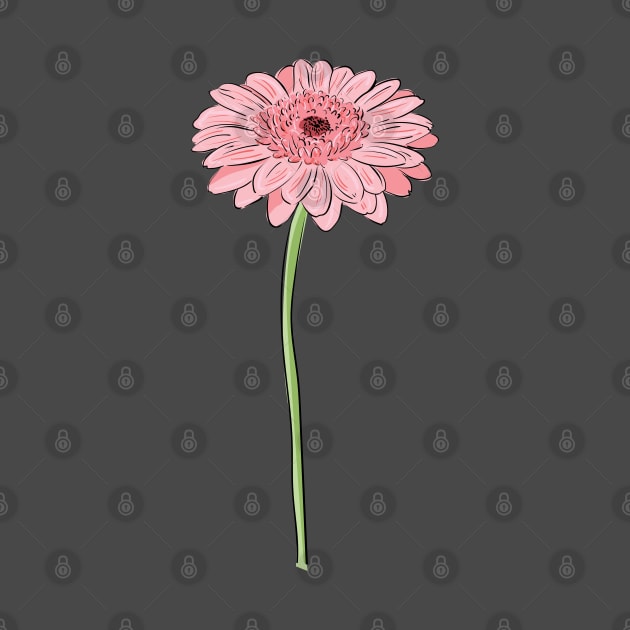 Pink Daisy Gerbera by Catdog