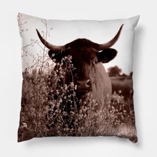 Hidden Gem Alert: This Sepia Cow Portrait Is Pure Magic! Pillow