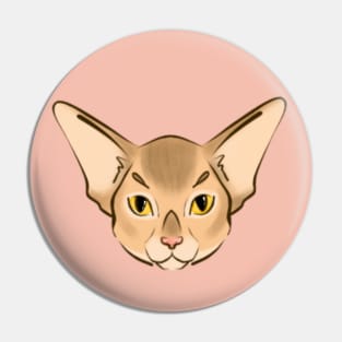 Baby abyssinian Pin