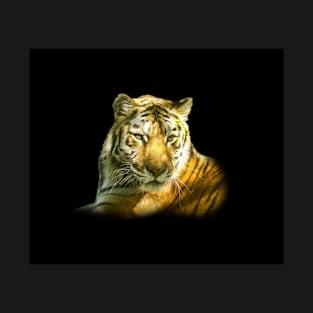 Tiger portrait T-Shirt