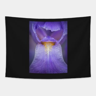 Purple Bearded Iris Close-up Tapestry