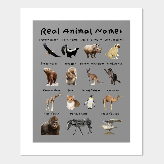 Real Animal Names - Animals - Posters and Art Prints | TeePublic