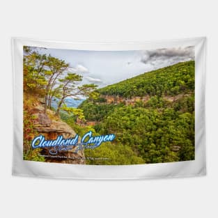 Cloudland Canyon State Park Tapestry