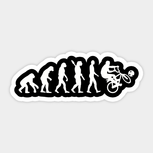 evolution cycle