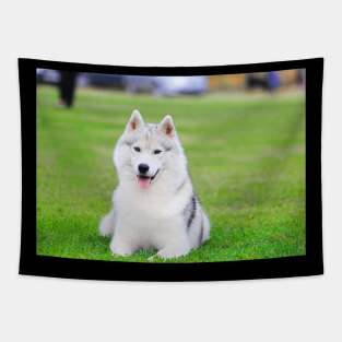 dog love Tapestry