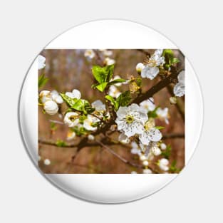 spring motif flower, plum flowers Pin